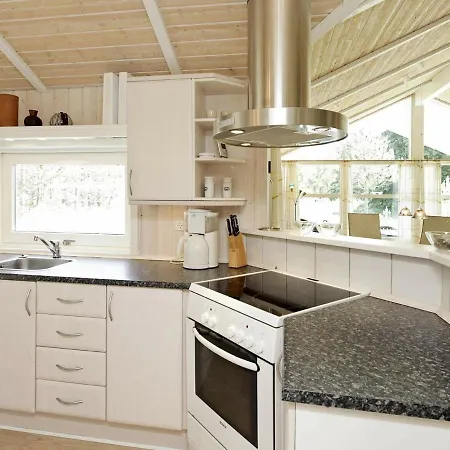 10 Person Holiday In Lb K Vakantiehuis Ålbæk